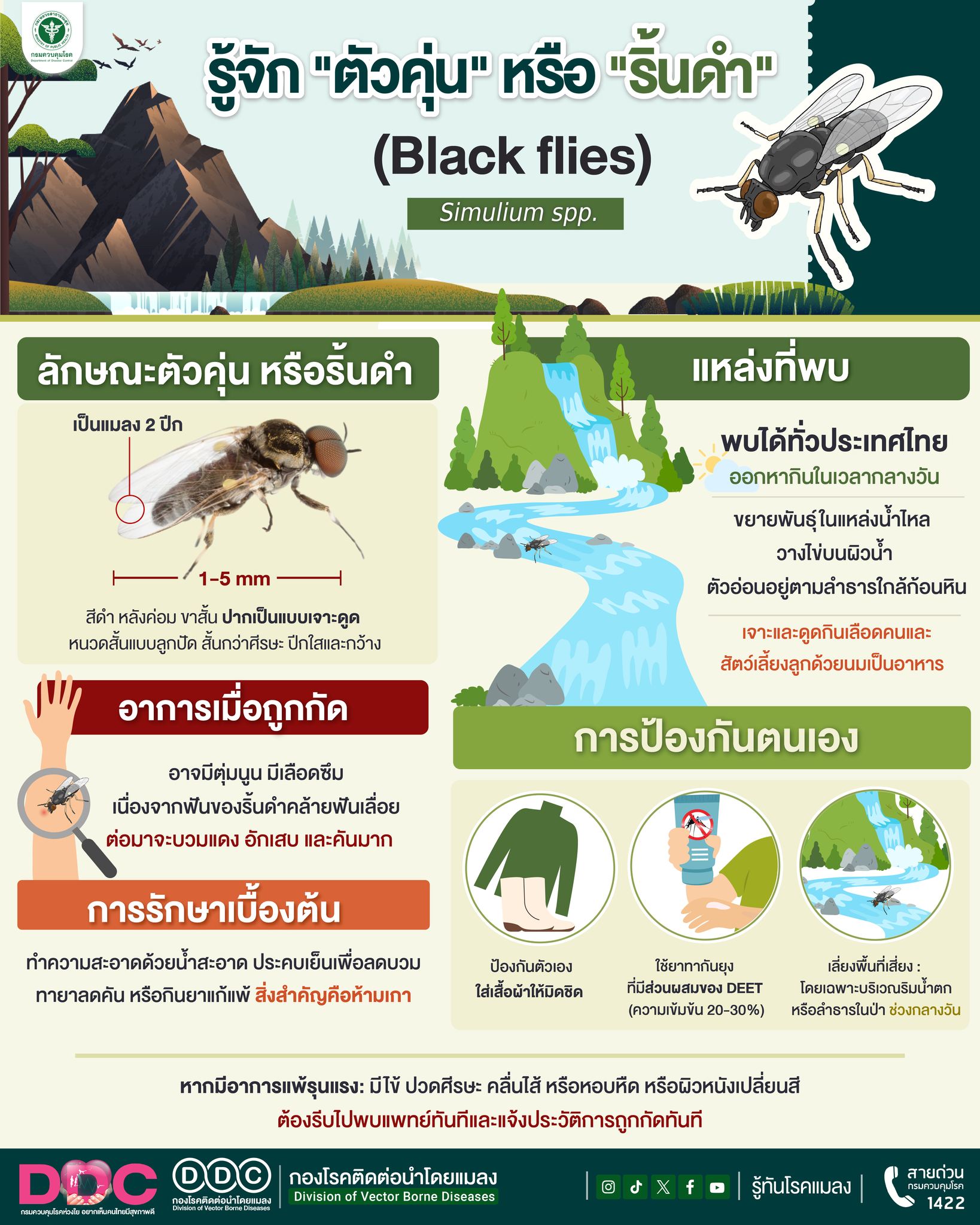 รู้จักตัวคุ่นหรือริ้นดำ